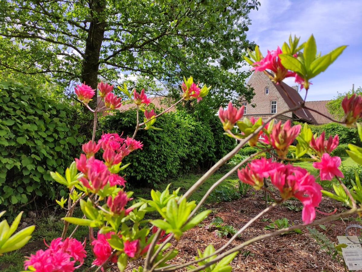 Manoir Du Kasteelveld Hotel Cassel Kültér fotó
